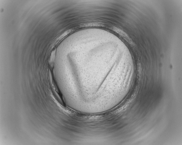 X0000070390841200607072217