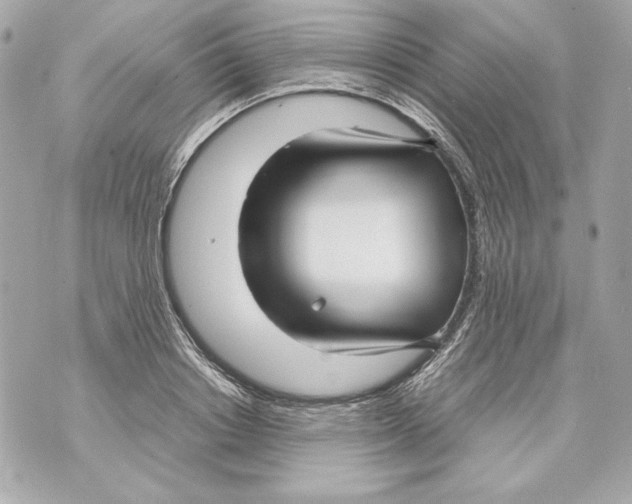 X0000070390842200607072217