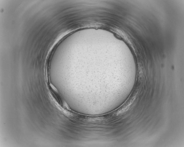 X0000070390843200607072217