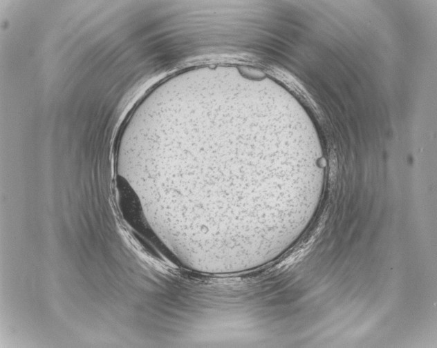 X0000070390844200607072217