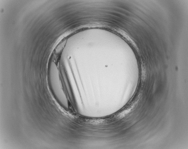 X0000070390845200607072217