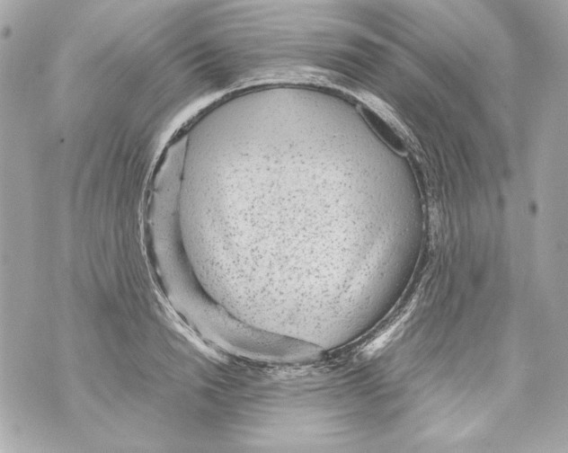 X0000070390846200607072217