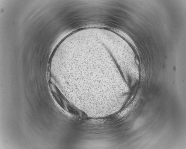 X0000070390847200607072217