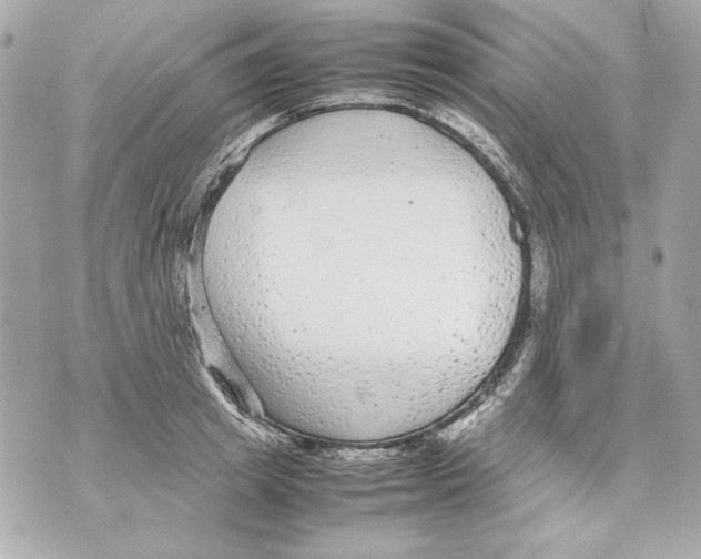 X0000070390849200607072217