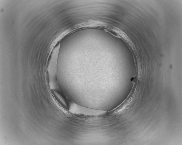 X0000070390850200607072217