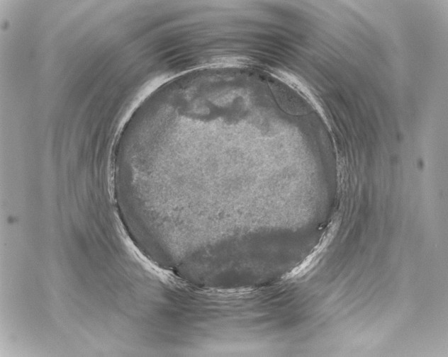 X0000070390851200607072217