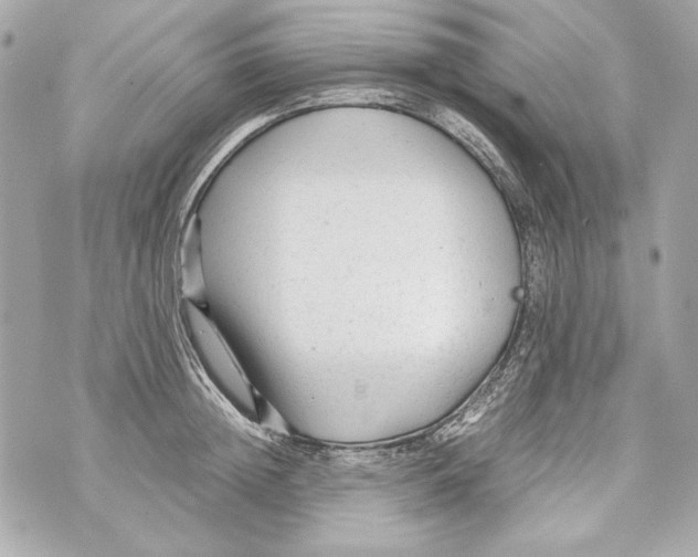 X0000070390852200607072217