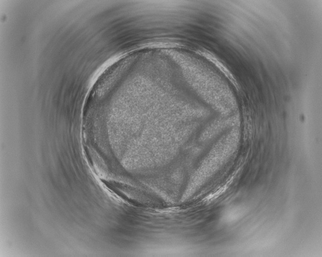 X0000070390853200607072217