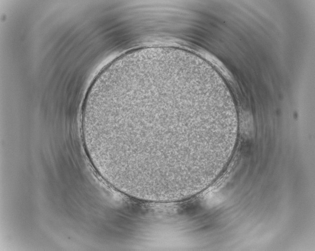 X0000070390856200607072217