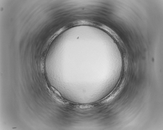 X0000070390857200607072217