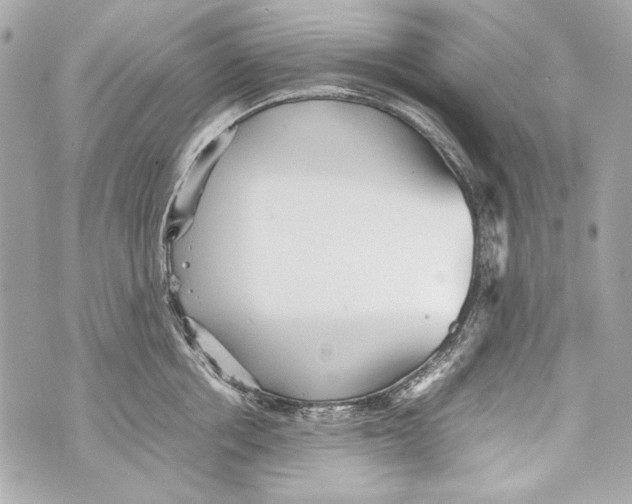 X0000070390858200607072217