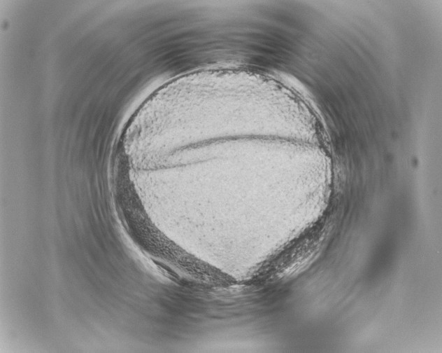 X0000070390859200607072217