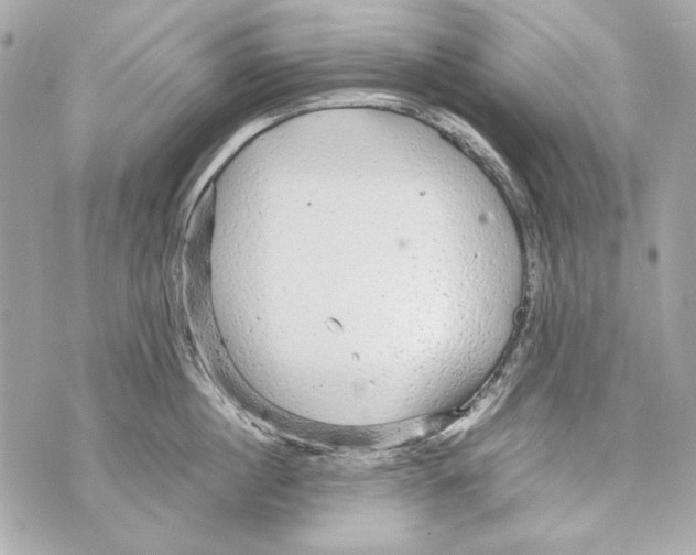 X0000070390860200607072217