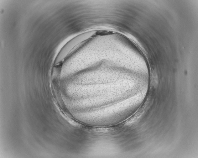 X0000070390862200607072217