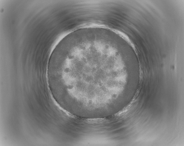 X0000070390863200607072217