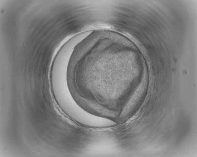 X0000070390864200607072217