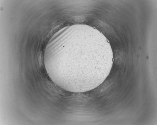 X0000070390866200607072217