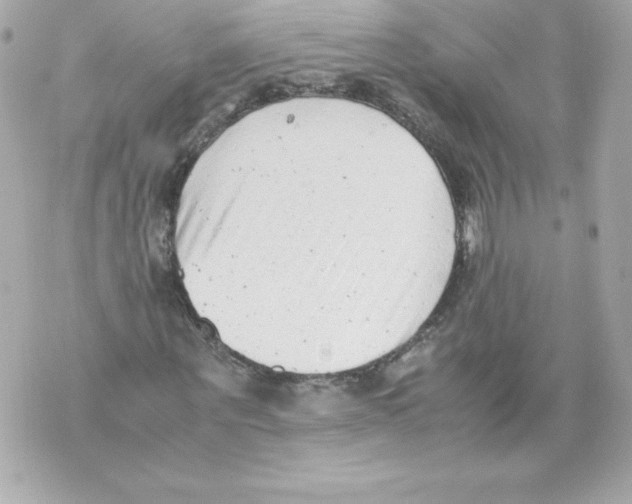 X0000070390867200607072217