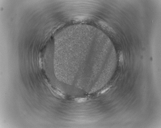 X0000070390868200607072217