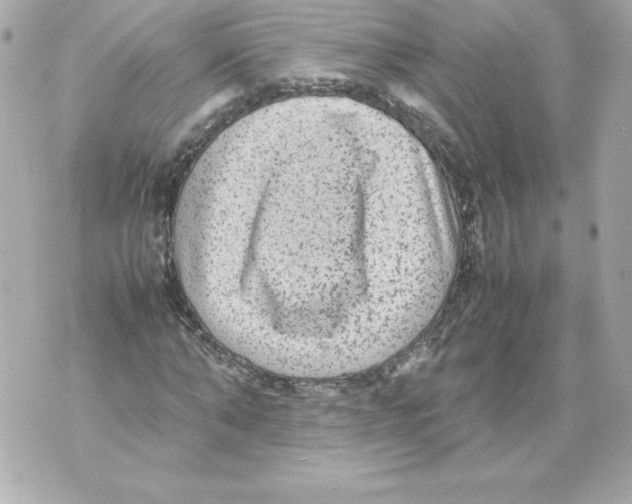 X0000070390870200607072217