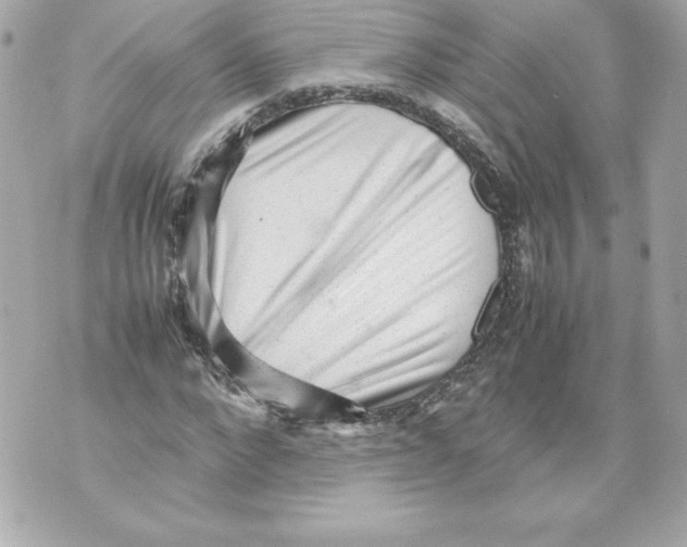 X0000070390872200607072216