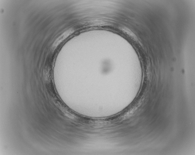 X0000070390873200607072216