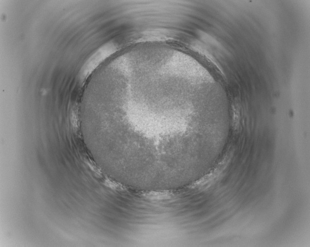 X0000070390874200607072216