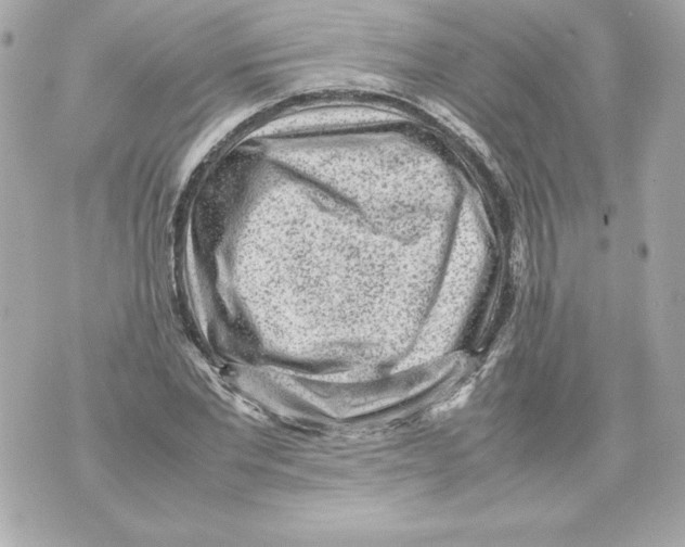 X0000070390877200607072216