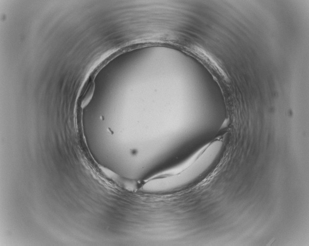 X0000070390884200607072216