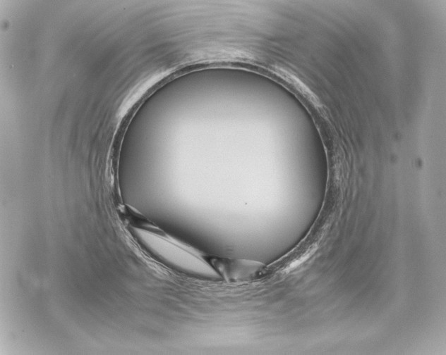 X0000070390885200607072216