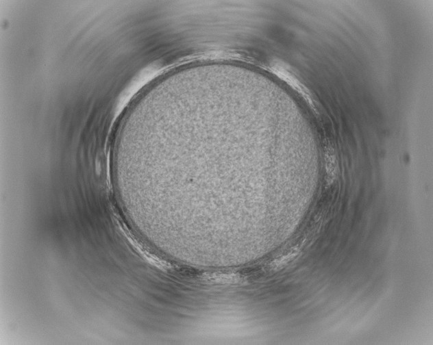 X0000070390886200607072216