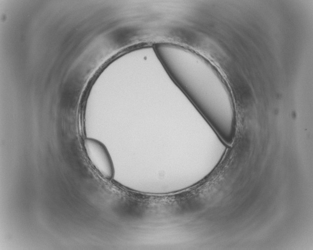 X0000070390887200607072216