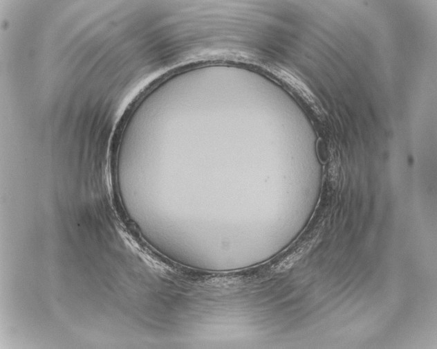 X0000070390888200607072216