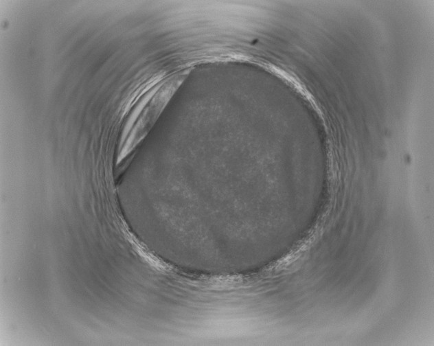 X0000070390889200607072216