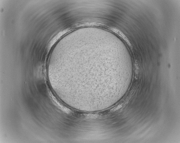 X0000070390890200607072216