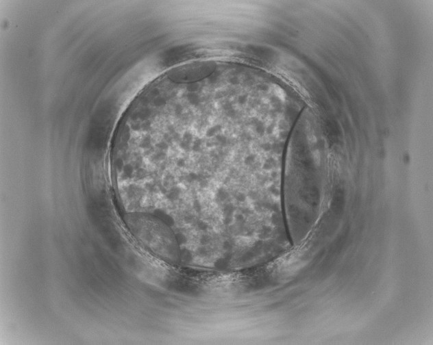 X0000070390891200607072216