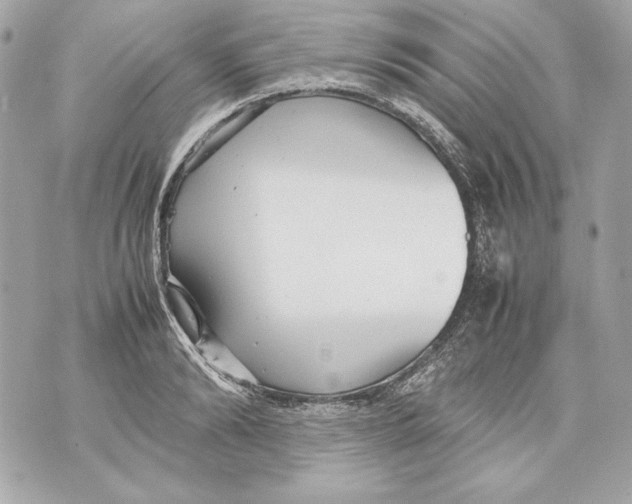 X0000070390894200607072216