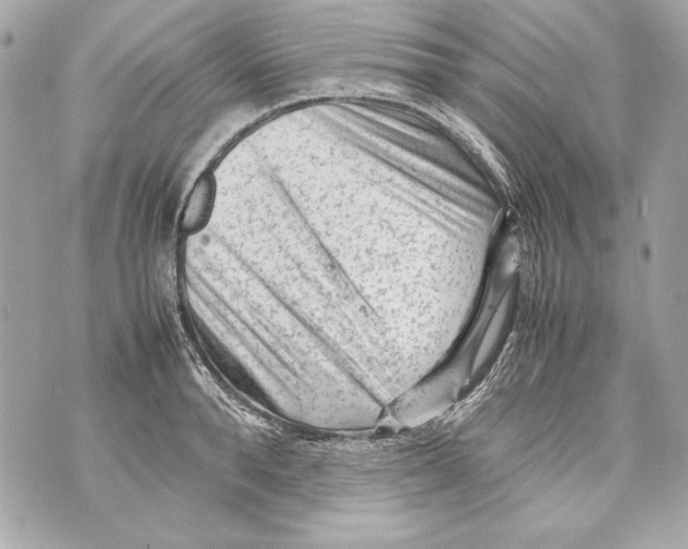 X0000070390896200607072216