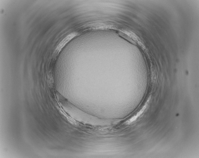 X0000070390897200607072216