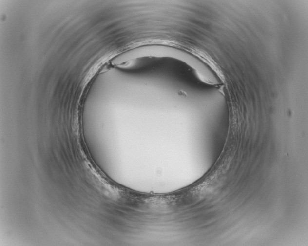 X0000070390898200607072216