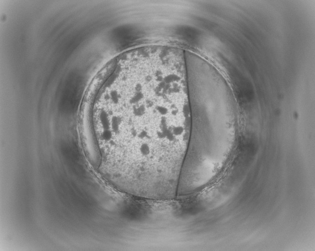 X0000070390899200607072216