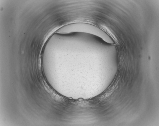 X0000070390900200607072216