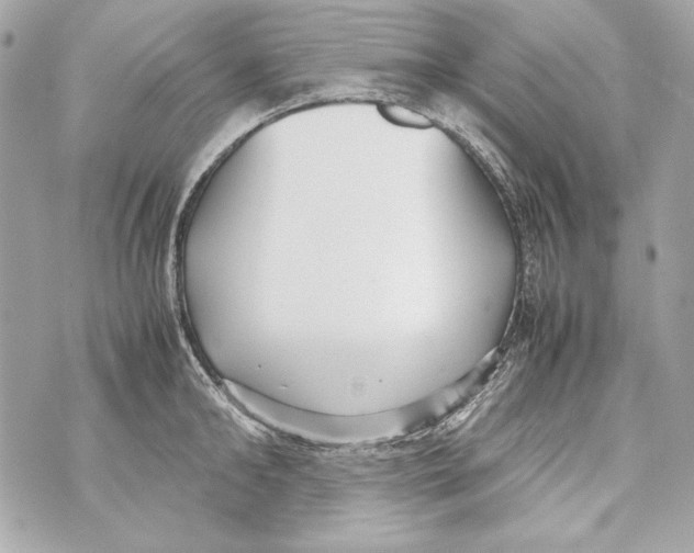 X0000070390902200607072216