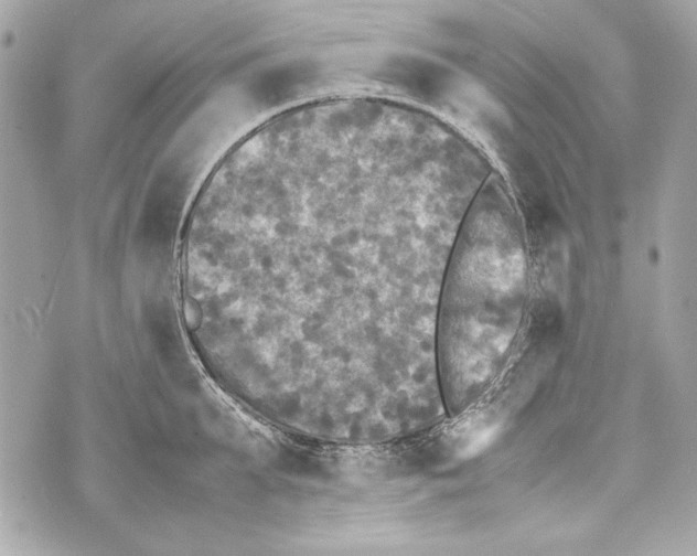 X0000070390903200607072216