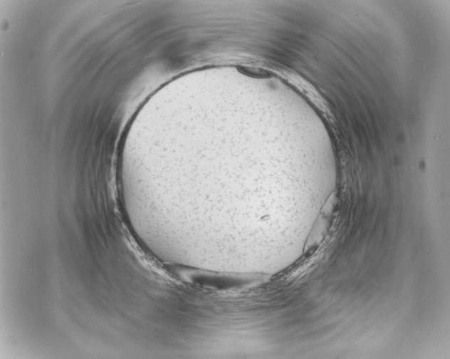 X0000070390904200607072216