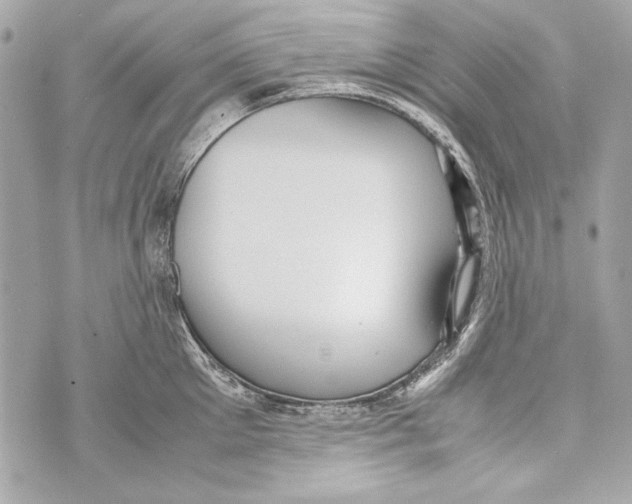 X0000070390905200607072216