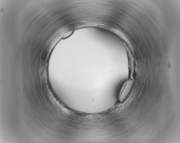 X0000070390906200607072216