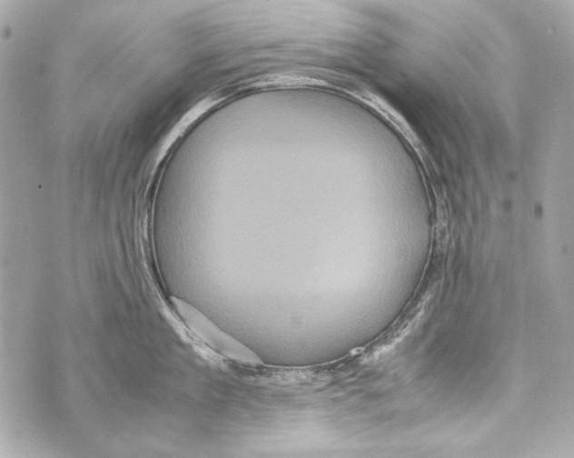 X0000070390909200607072216