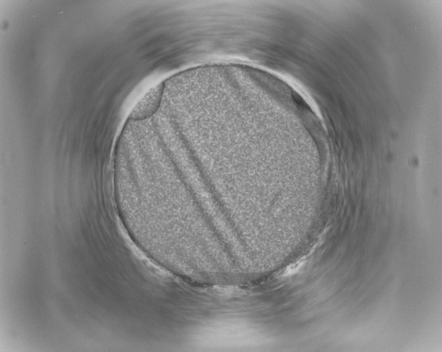 X0000070390911200607072216