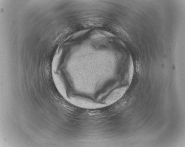 X0000070390915200607072215